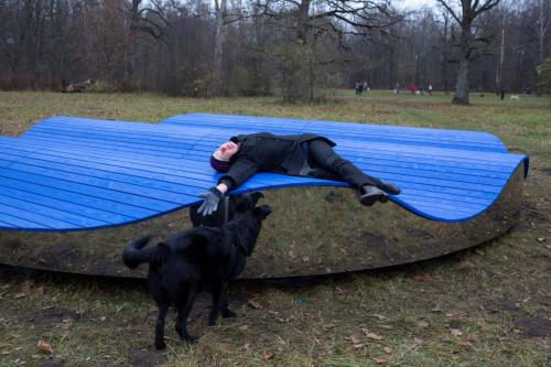Zilais miglas vāls, autori Anna Līva Traumane, Harijs Vucens